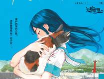 叶星辰